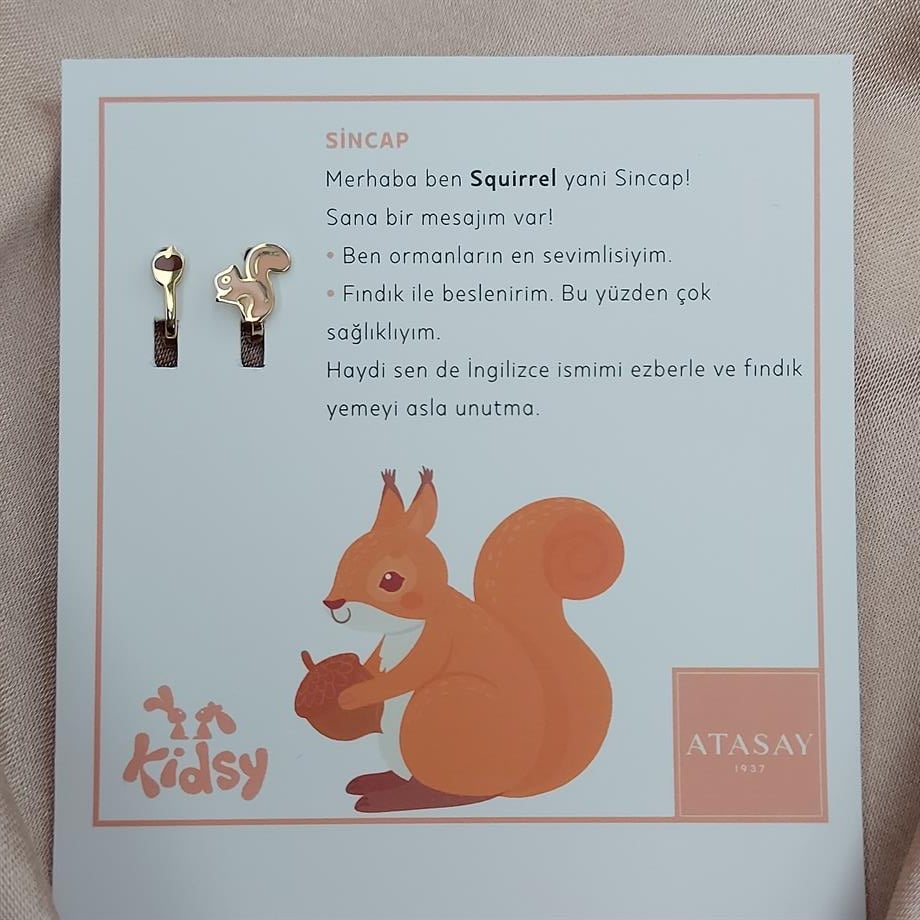 SİNCAP & FINDIK FİGÜRLÜ ÇOCUK ALTIN KÜPE