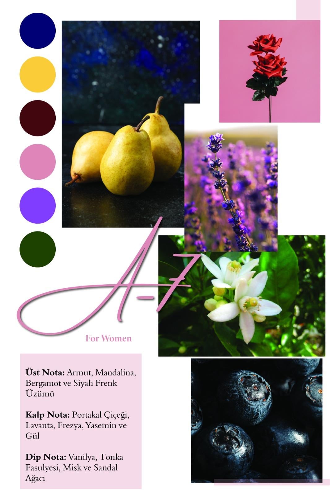 Frederic Patric A-7 50 ML Kadın Parfümü