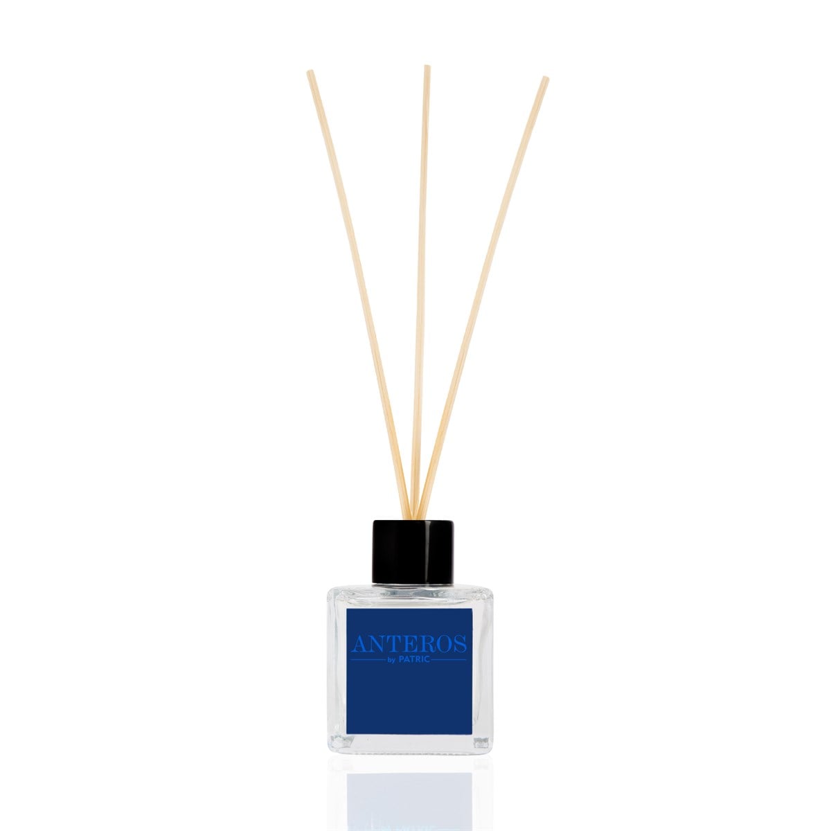Frederic Patric Anteros Ortam Bambu