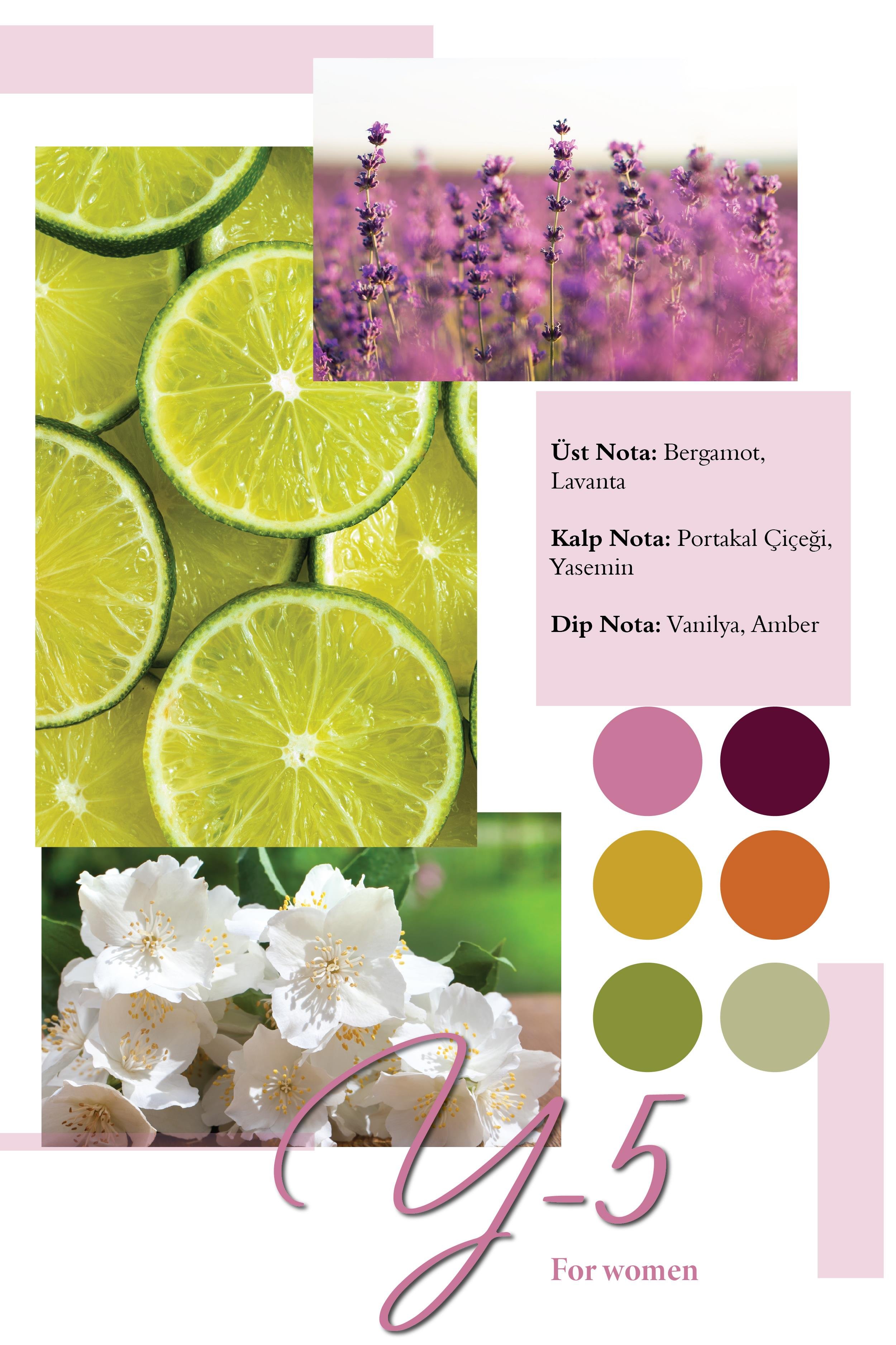 Frederic Patric Y-5 50 ML Kadın Parfümü