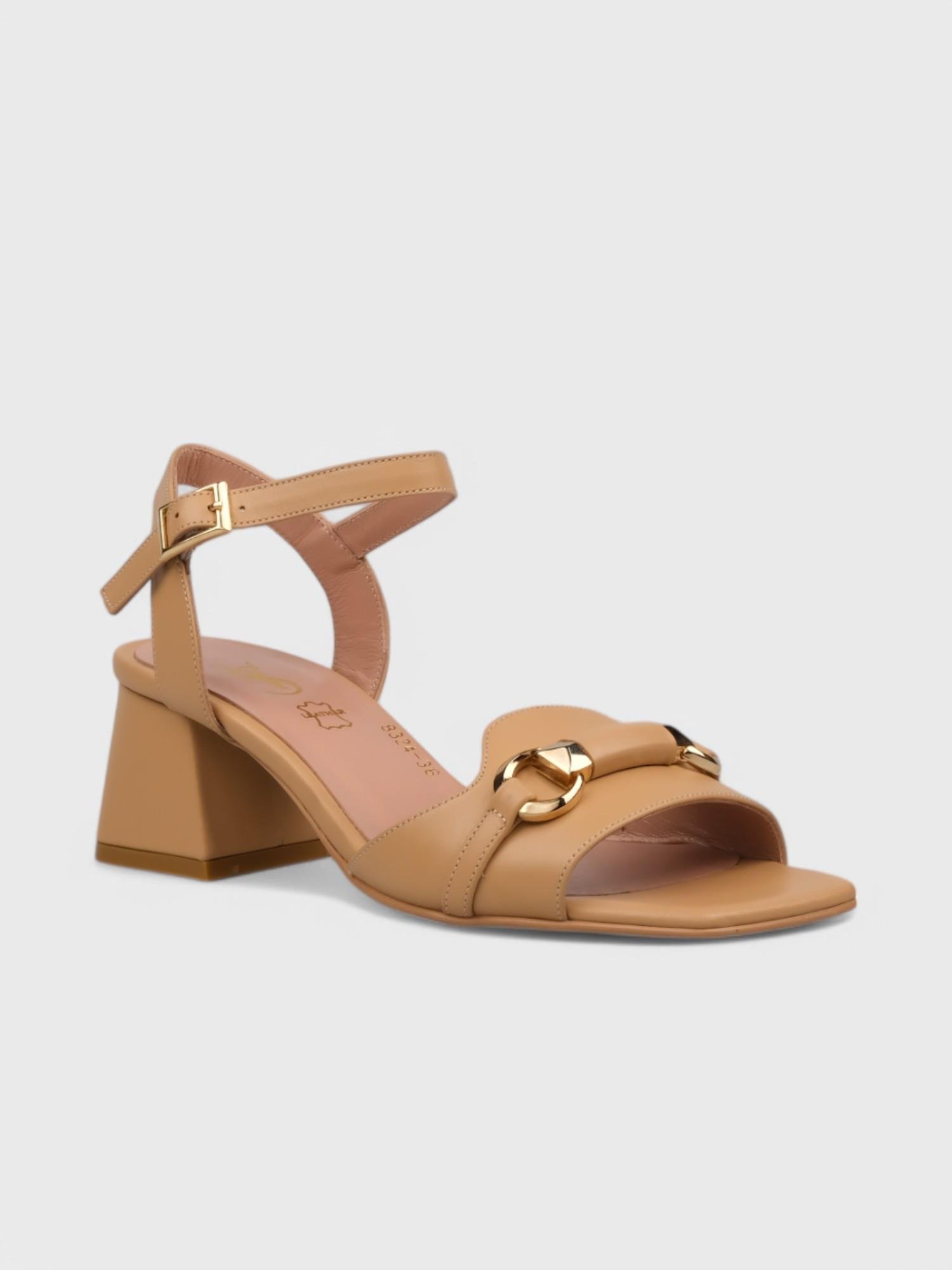 - Camel