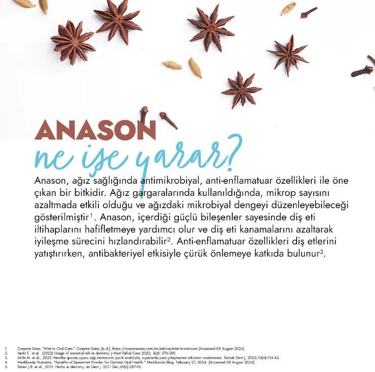 GLİMODİŞ MACUNLARIGlimo Daily Care Ağız Bakım Suyu Anason Nane 250 ml