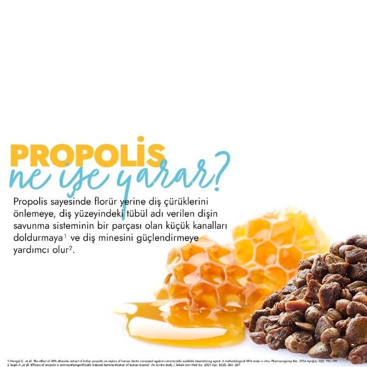 GLİMODİŞ MACUNLARIGlimo Daily Care Ağız Bakım Suyu Karanfil Bahçe Nanesi 250 ml