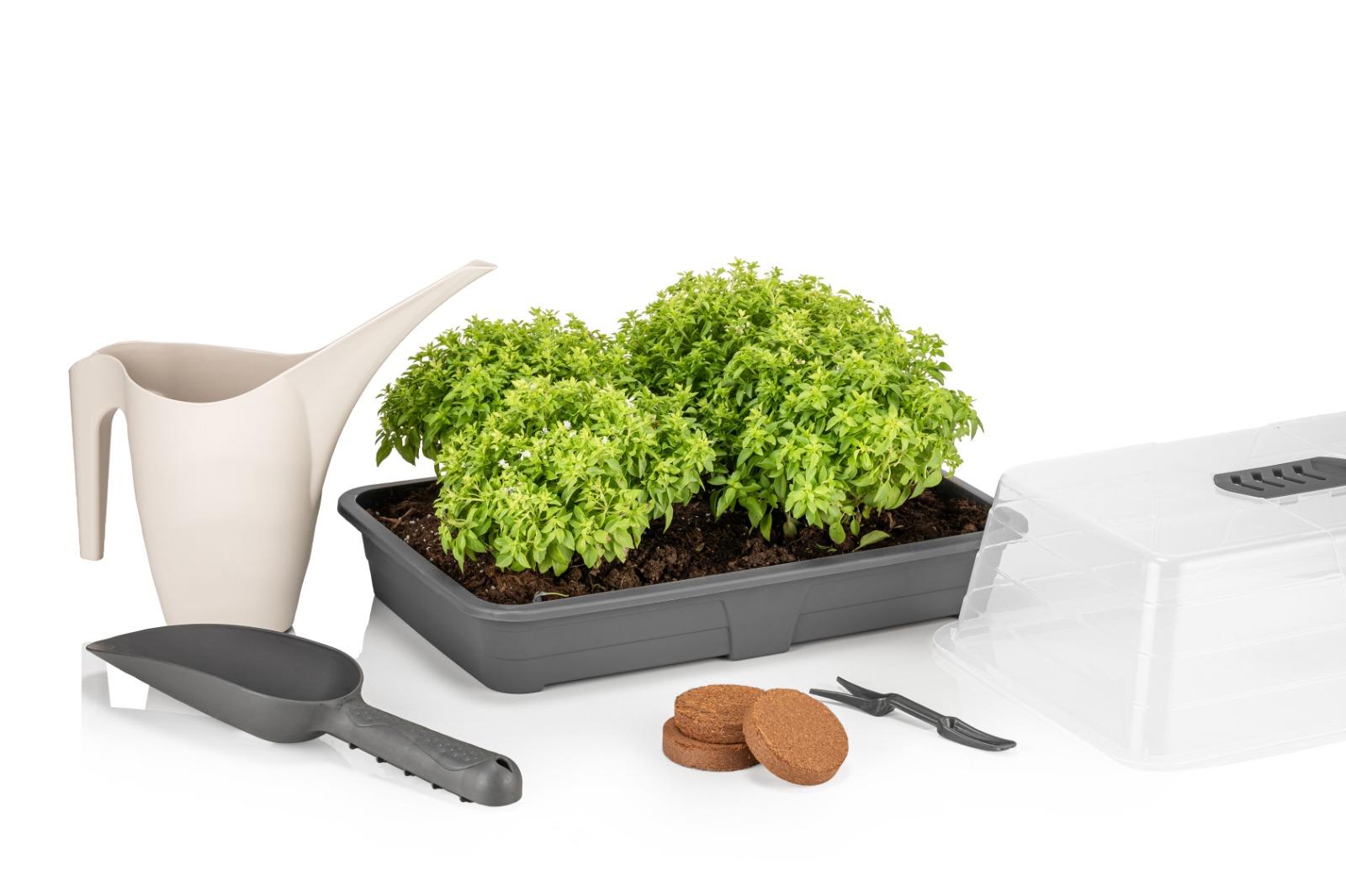 SAKSI MİX 10 Lt Propagator Mini Sera-esnek (SET) S80-mikro Filiz-fide Fanusu-mini Sera-hobi-bitki