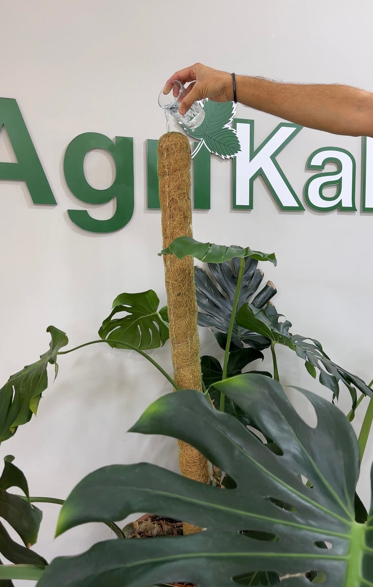 SAKSI MİX COCO BİTKİ DESTEKLEME ÇUBUĞU 90 CM (TEK)