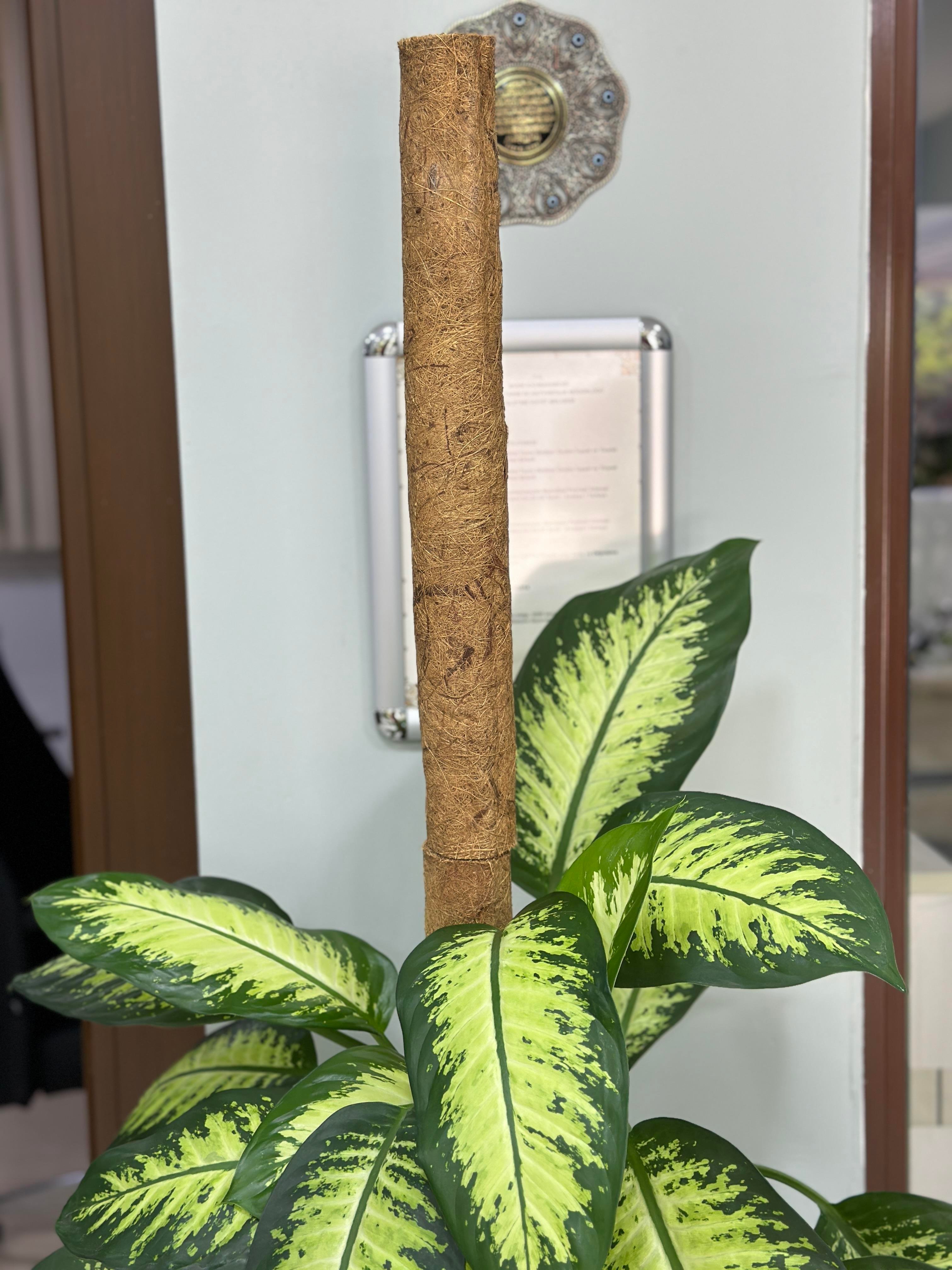 SAKSI MİX COCO BİTKİ DESTEKLEME ÇUBUĞU 60 CM(GEÇİRMELİ)