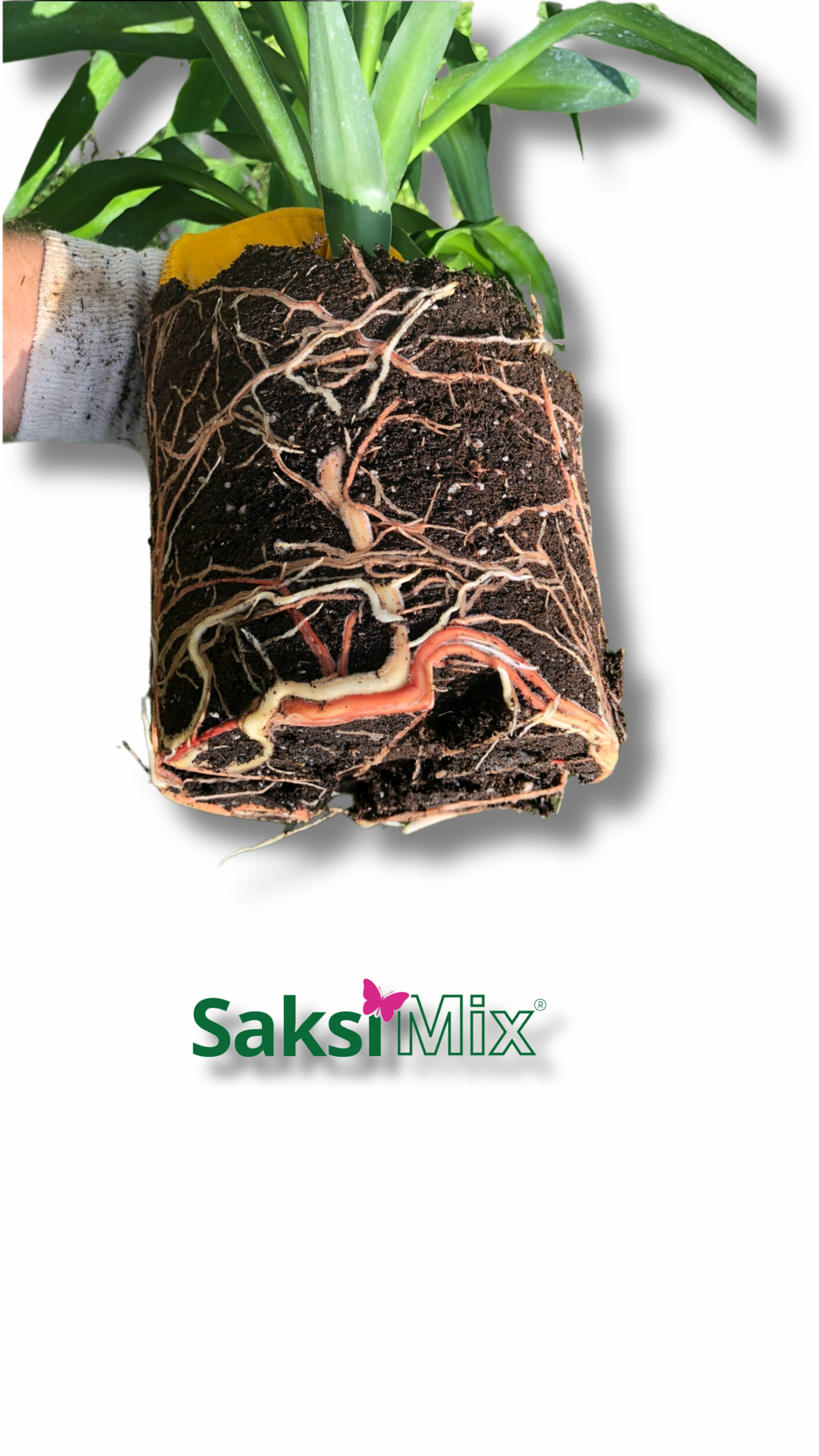 SAKSI MİX DIŞ MEKAN DİKİME HAZIR TORF  20 L