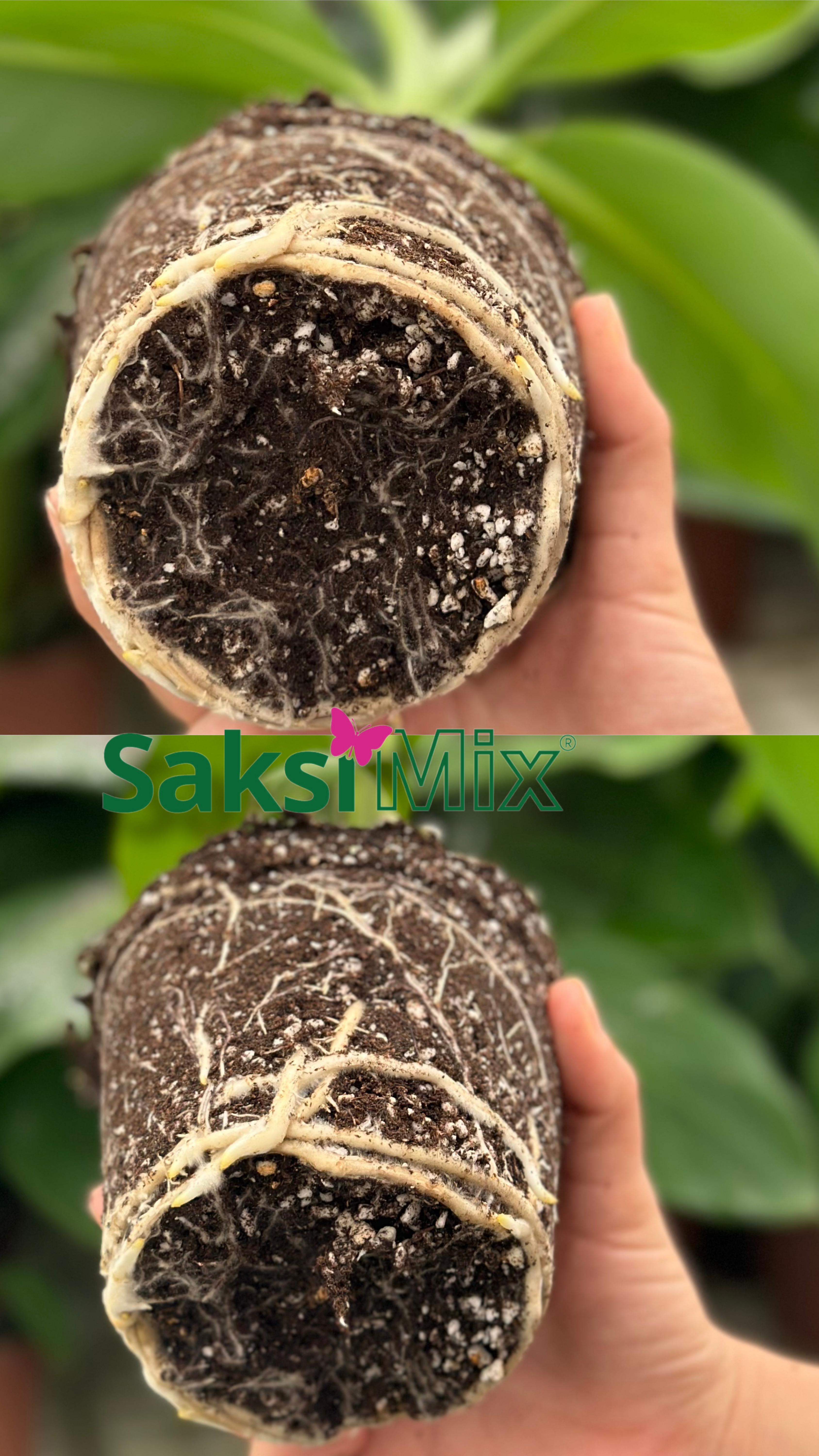 SAKSI MİX İÇ MEKAN DİKİME HAZIR TORF 20 L