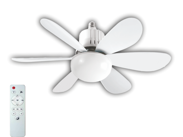 CATA-CT-1154