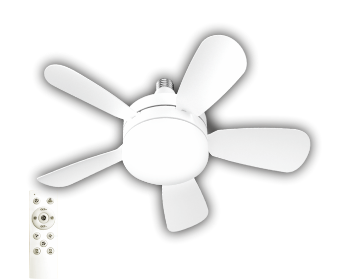 CATA-CT-1155