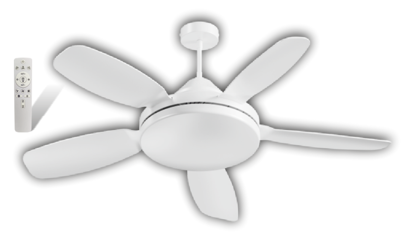 CATA-CT-1157