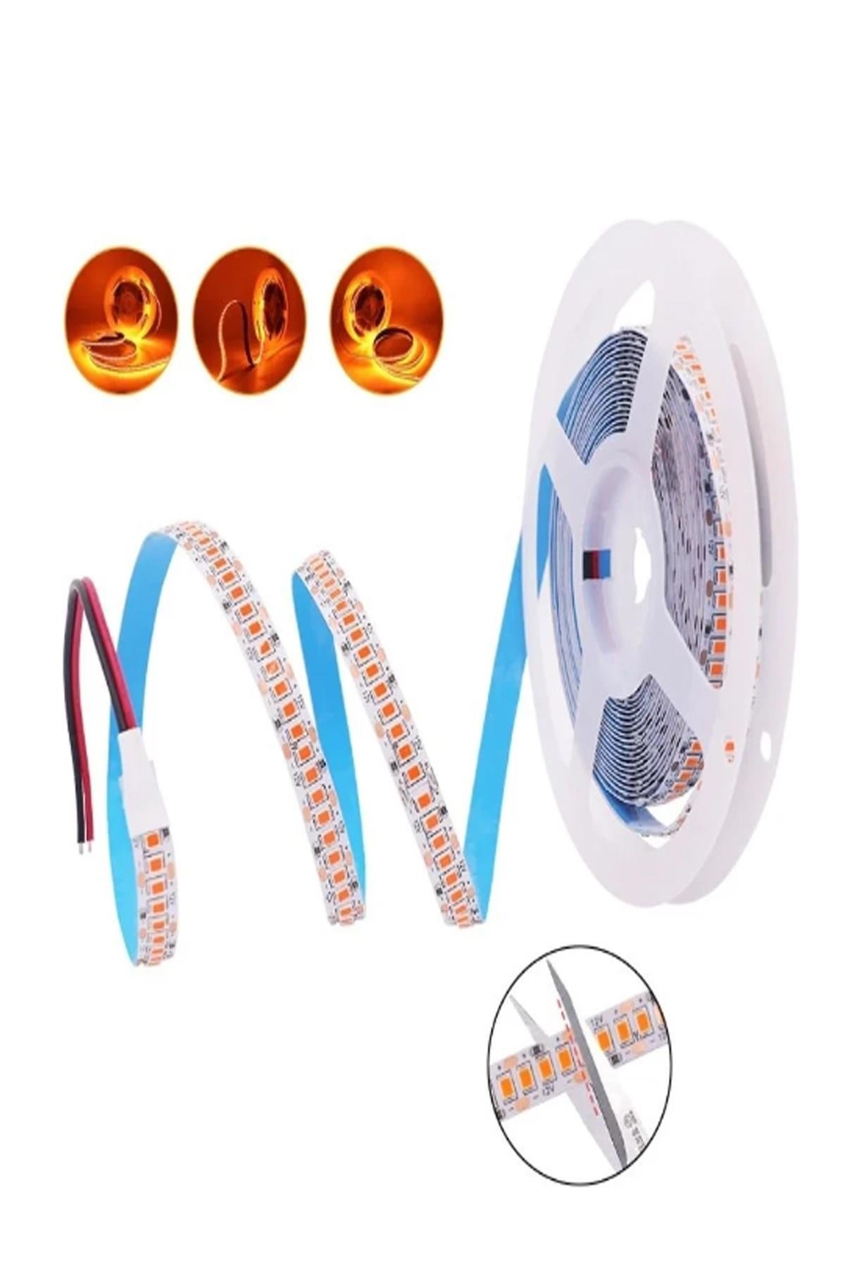 CATA-CT-4538A