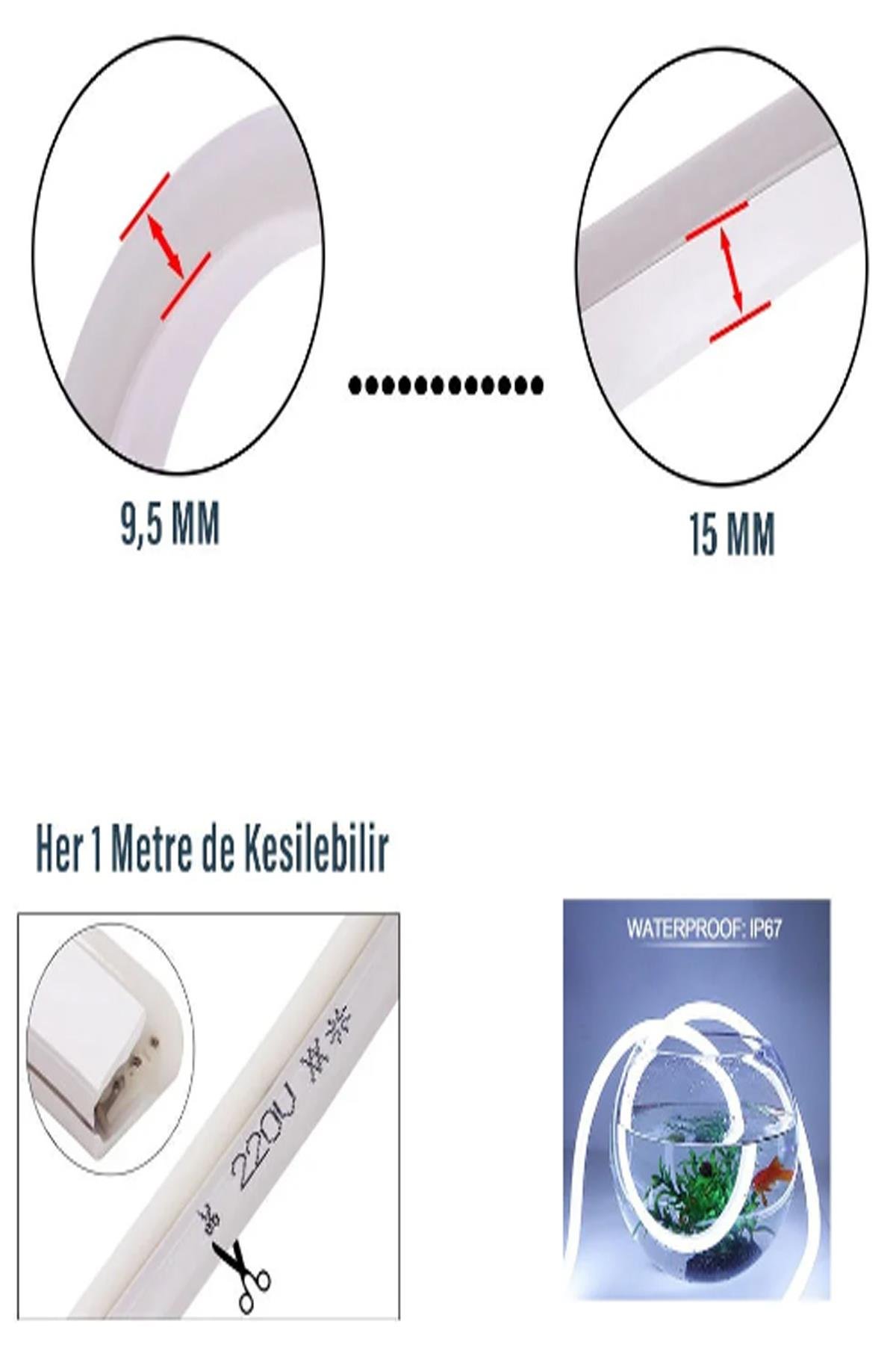 CATA-CT-4554Y