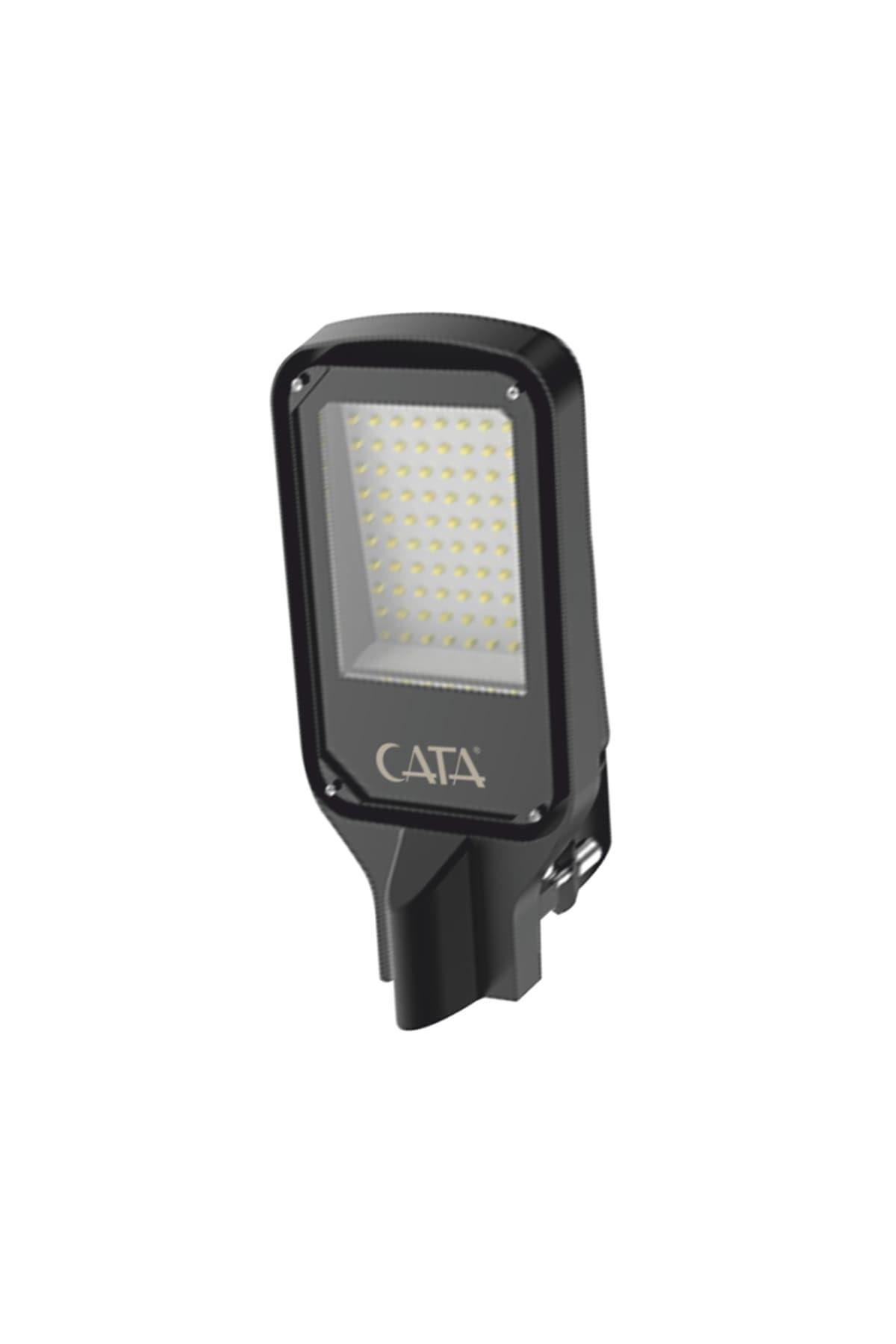 CATA-CT-4681