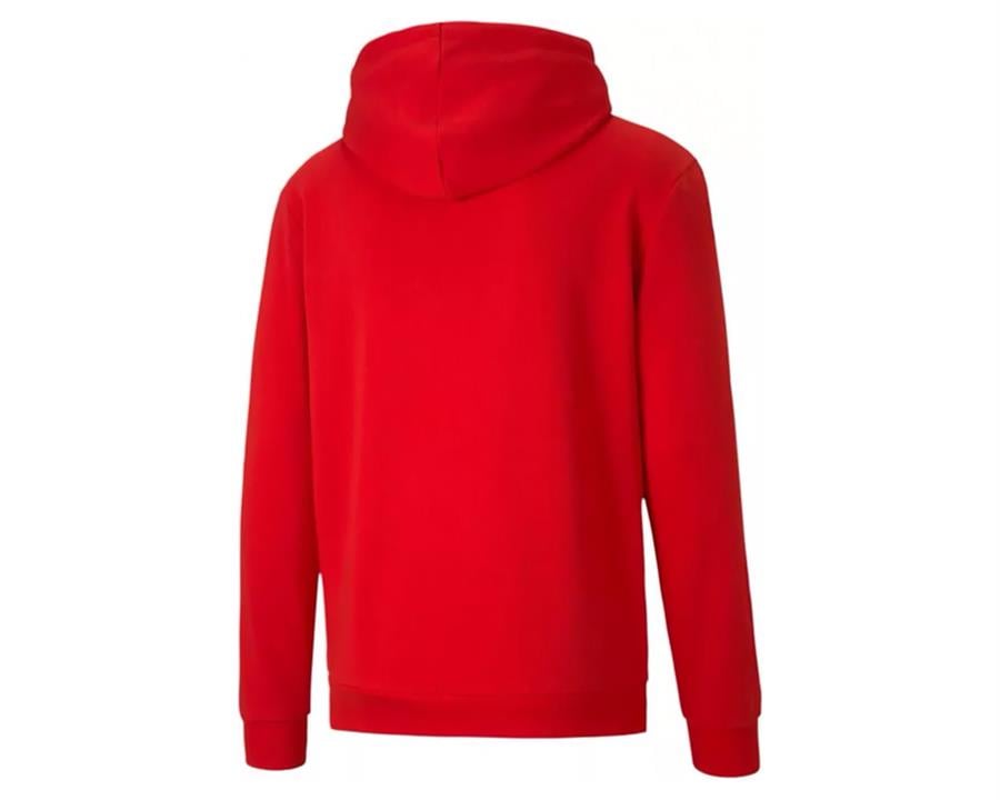 Teamgoal 23 Causals Hoody Erkek Futbol Antrenman Sweatshirts