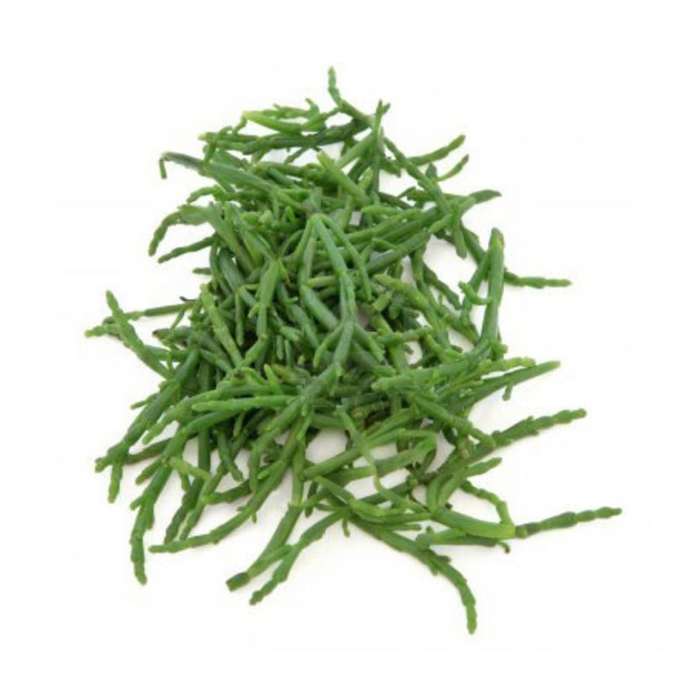 DENİZ BÖRÜCESİSalata Malzemesi