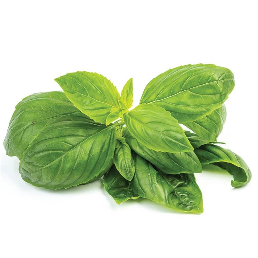 FESLEĞEN 25 GRSalata Malzemesi