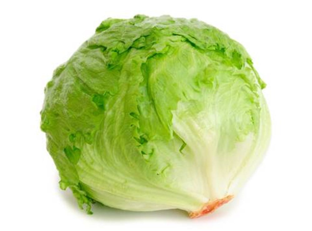 ICEBERGSalata Malzemesi