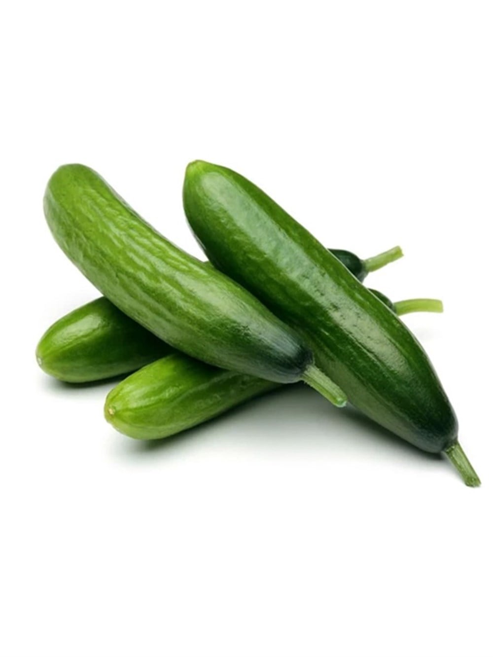 SALATALIK SİLORSebze
