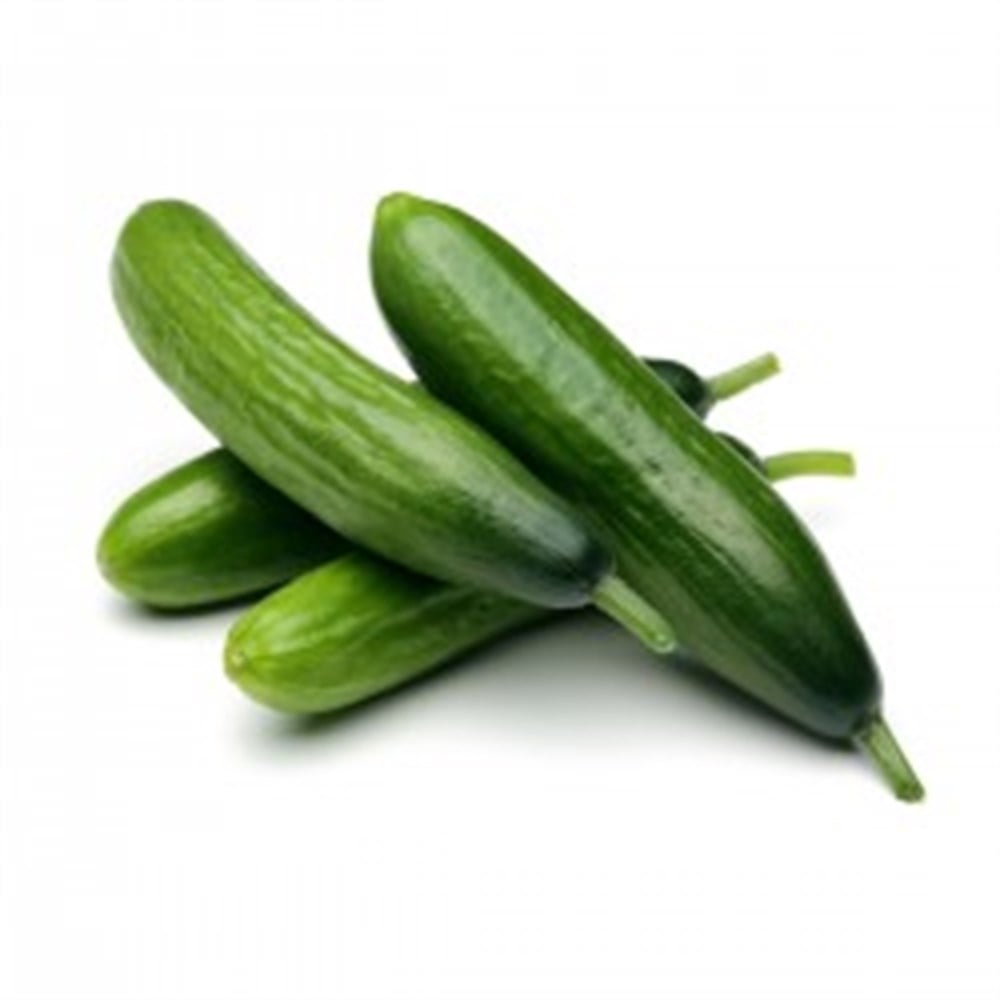 SALATALIKSebze