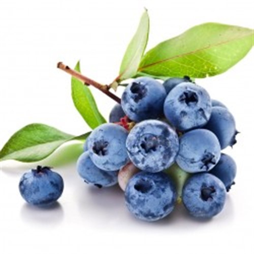 YABAN MERSİNİ 125 GRMeyve