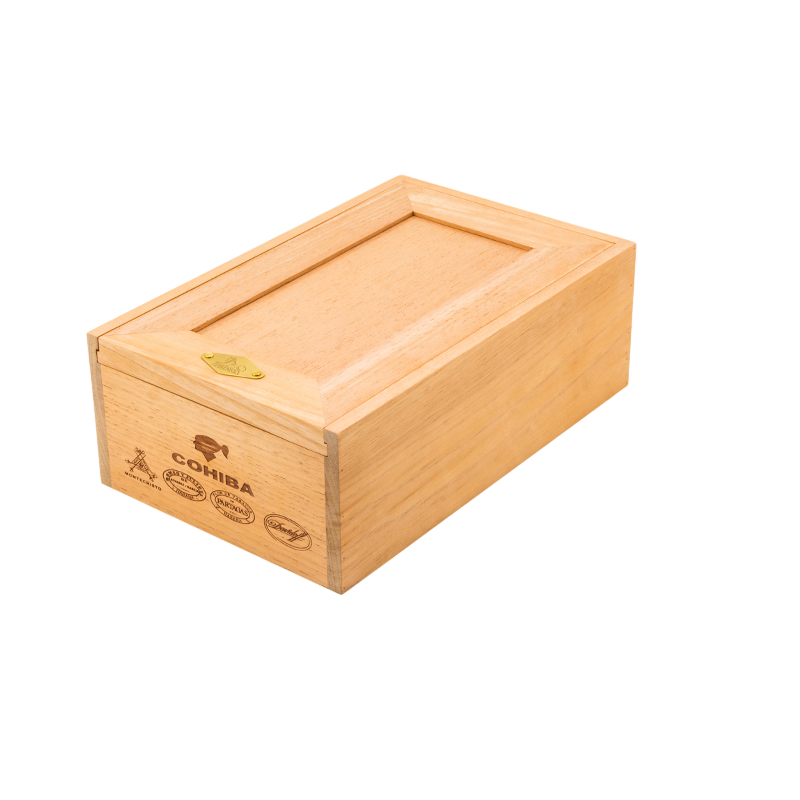 Lubinski Brands Simple Dolap İçi Humidor Puro Kutusu 50's