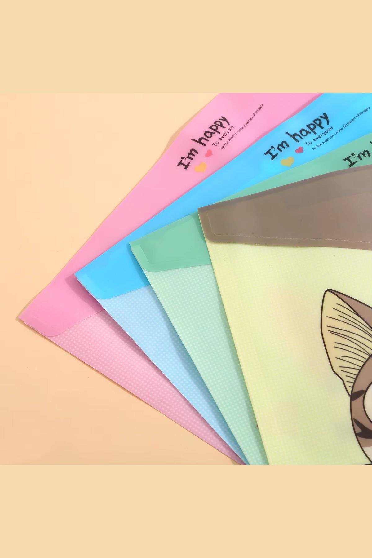 4'lü Sevimli Kedi Desenli Çıtçıtlı Dosya (A4) Renkli Transparan Plastik