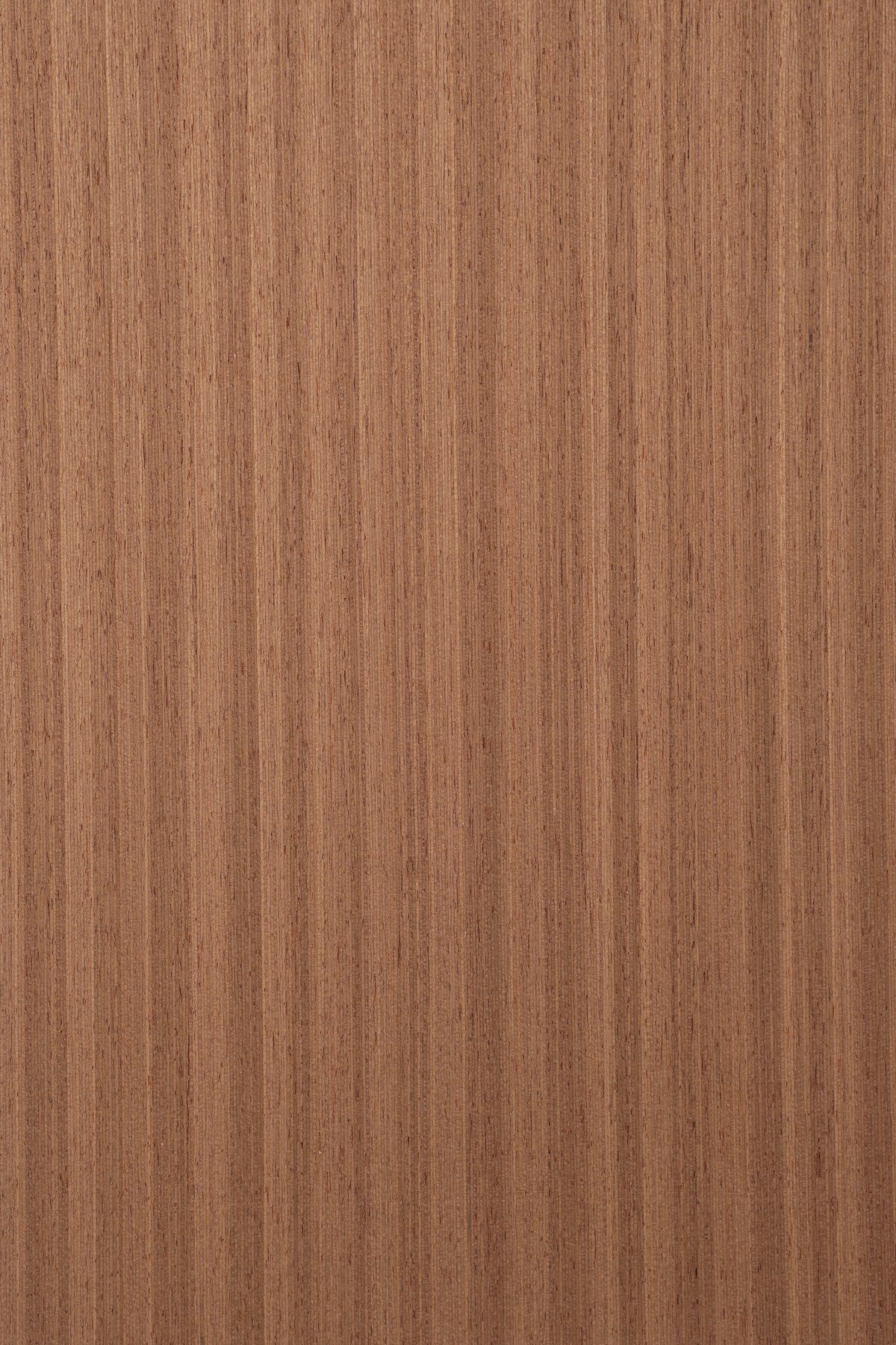 Maket Modelci - Ahşap Kaplama - 20x30 cm - 3 Adet (KR11,G4,MA7)