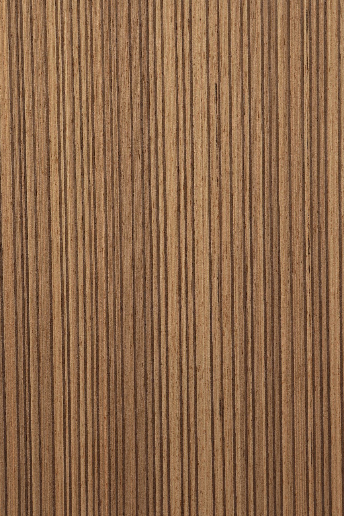 Maket Modelci - Ahşap Kaplama - 20x30 cm - 3 Adet (DK6,M3,MC10)