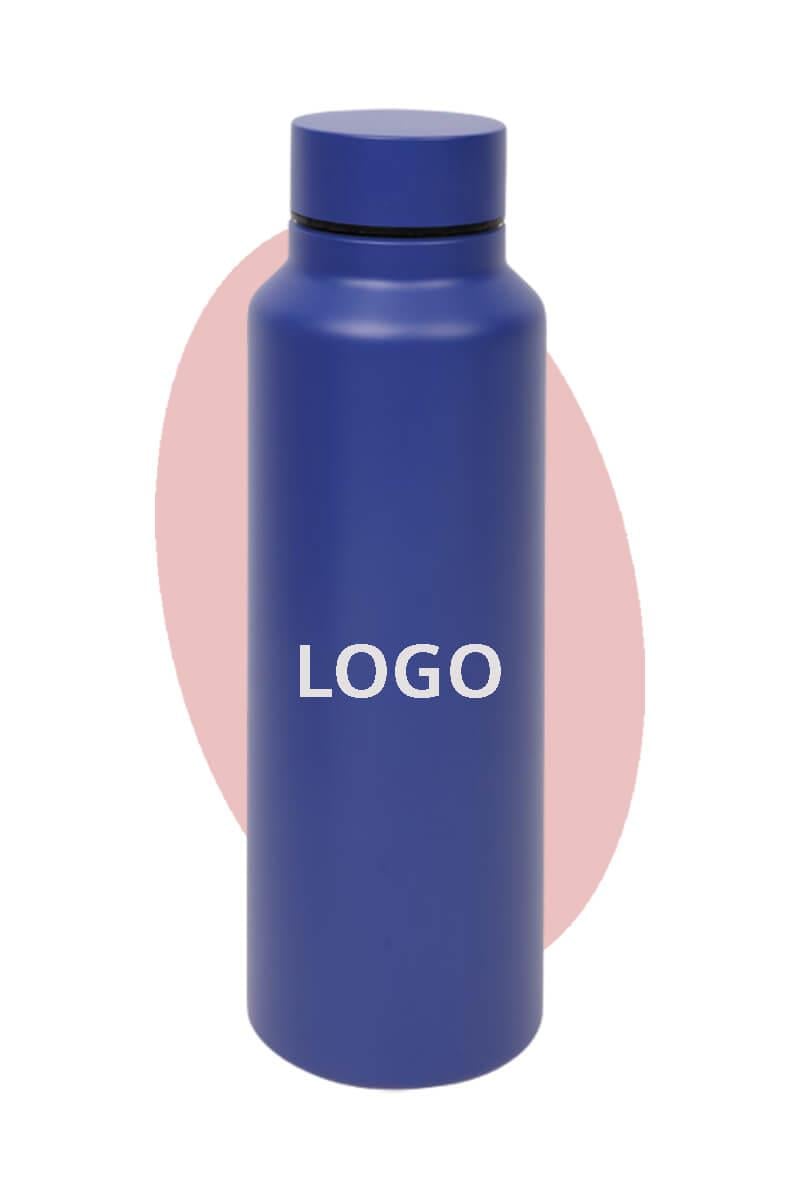 Promosyon Logo Baskılı 700ml Çelik Matara 5593-PETK