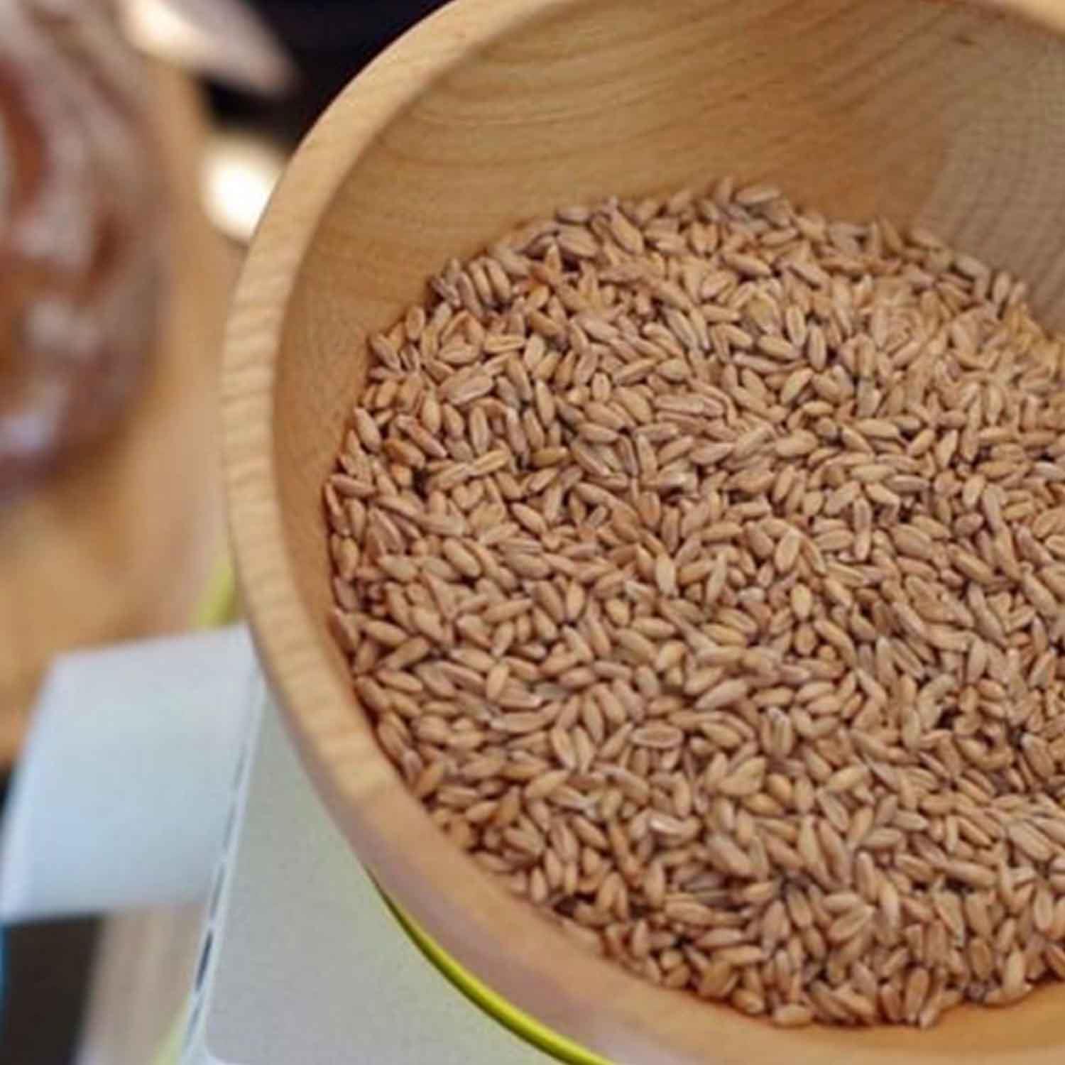 KoMoMio Black Un Değirmeni, Komo, Taş Değirmenler