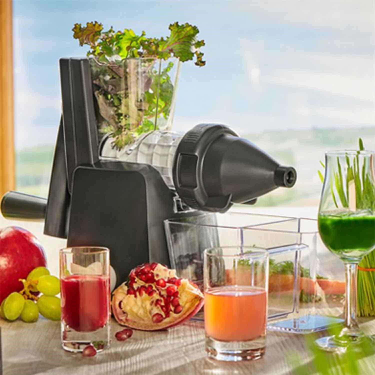 Lurch Slow Juicer Meyve ve Sebze Sıkacağı, Lurch, Sıkacaklar