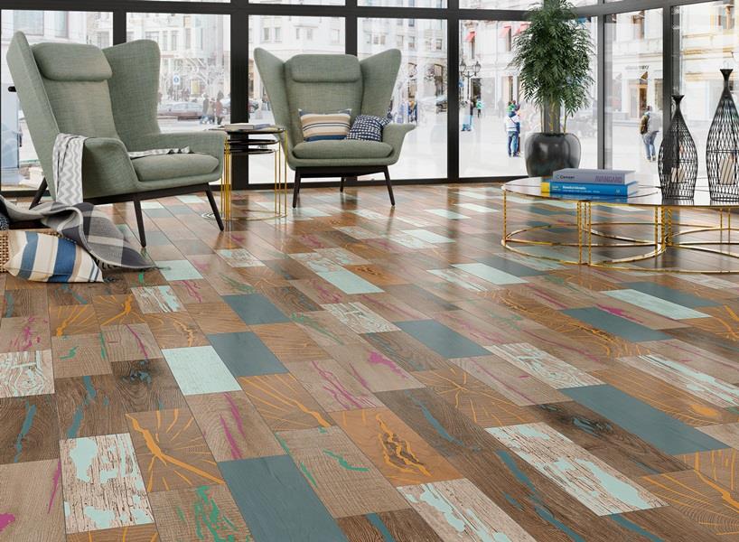 ÇAMSAN AVANGARD ANEMON