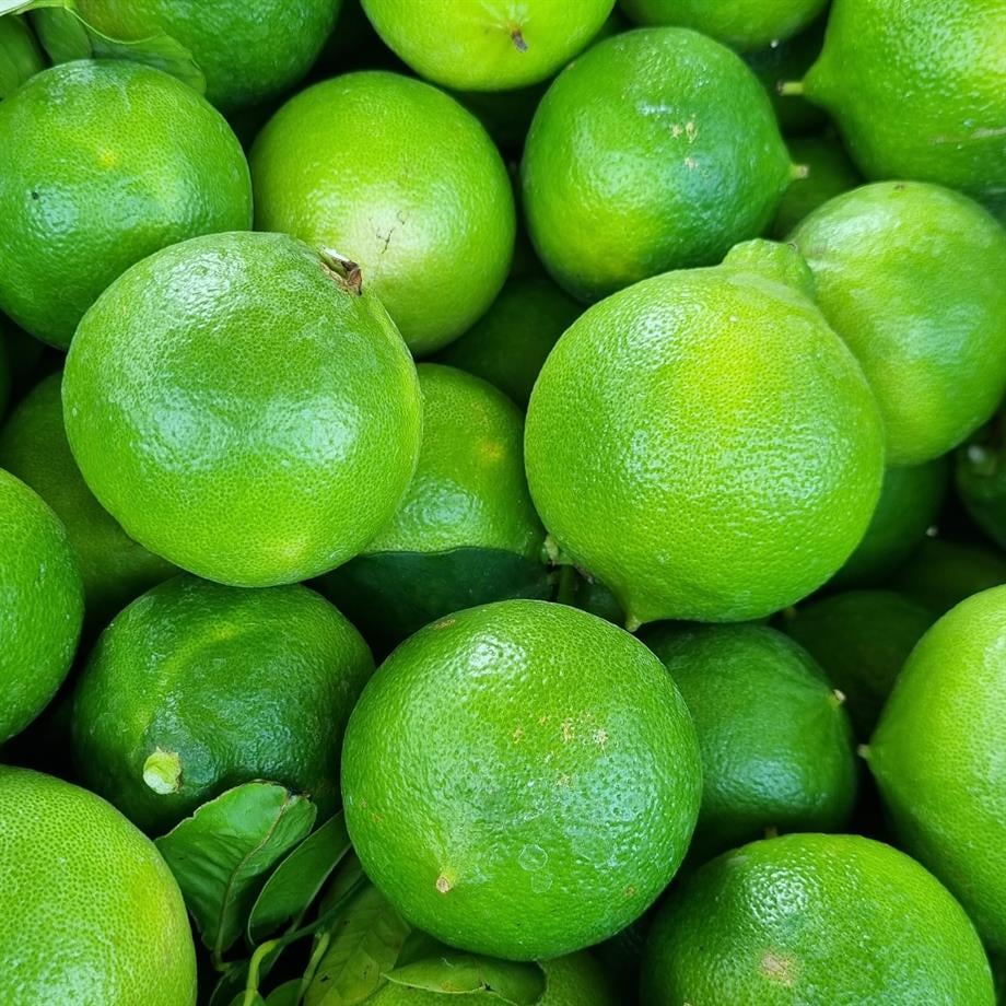 BERGAMOT (EARL GREY) - 1 KG