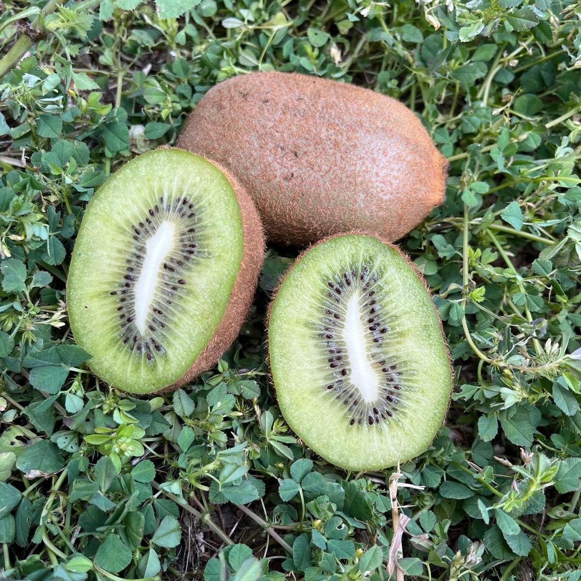 KİVİ - 1 KG
