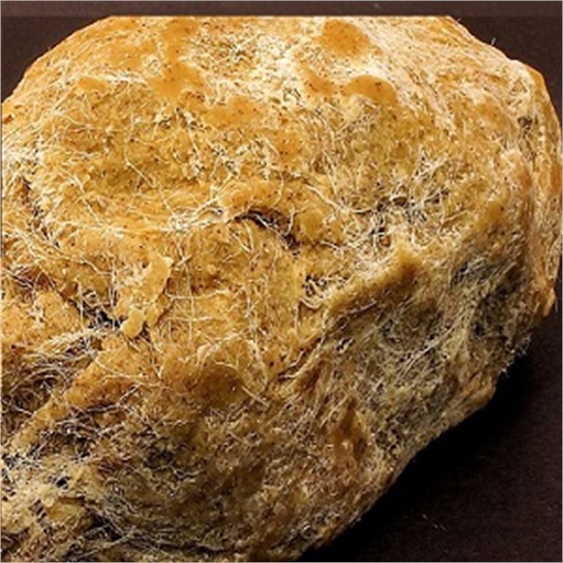 Erzurum Peynir Helvası  Horis