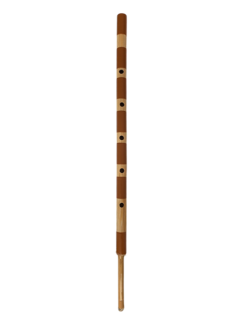 Rhn SP02 Sipsi Kamış