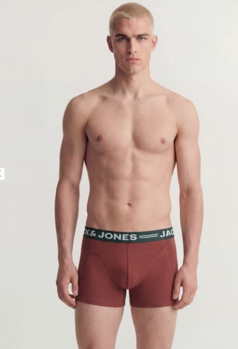 Jack & Jones Erkek Çok Renkli Boxer 3'lü - 12113943  - Jack & Jones - 12113943-1
