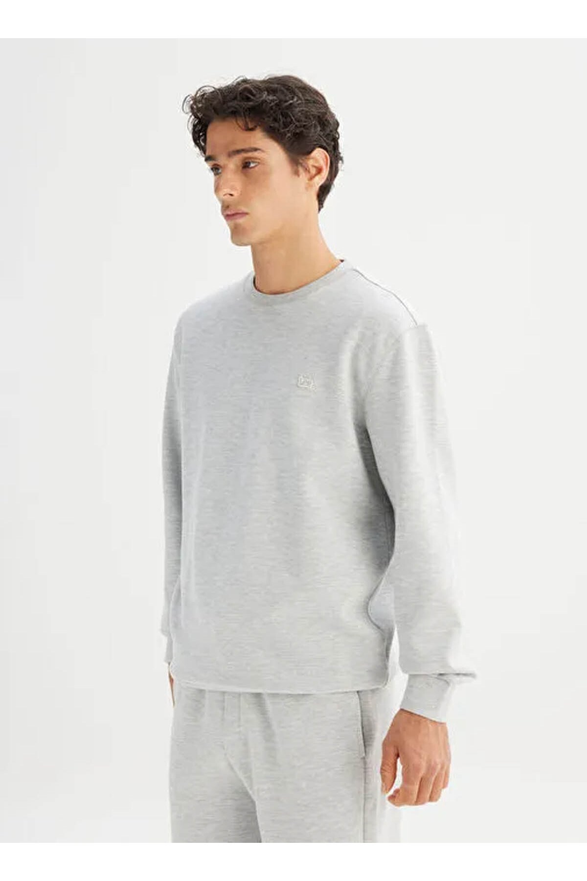 Lee Erkek Regular Fit Normal Kesim Bisiklet Yaka Baskılı Gri Melanj Sweatshirt - L2520308 - Lee - L2520308-3