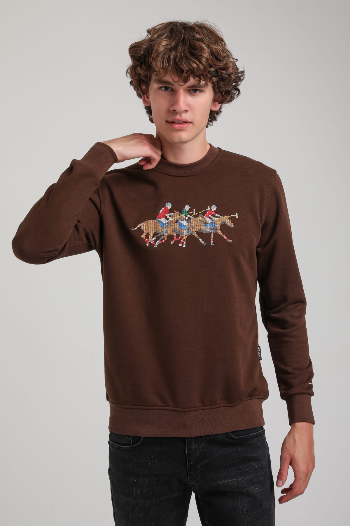 Bisiklet Yaka Kahverengi Regular Custom Sweatshirt 23FWM60144