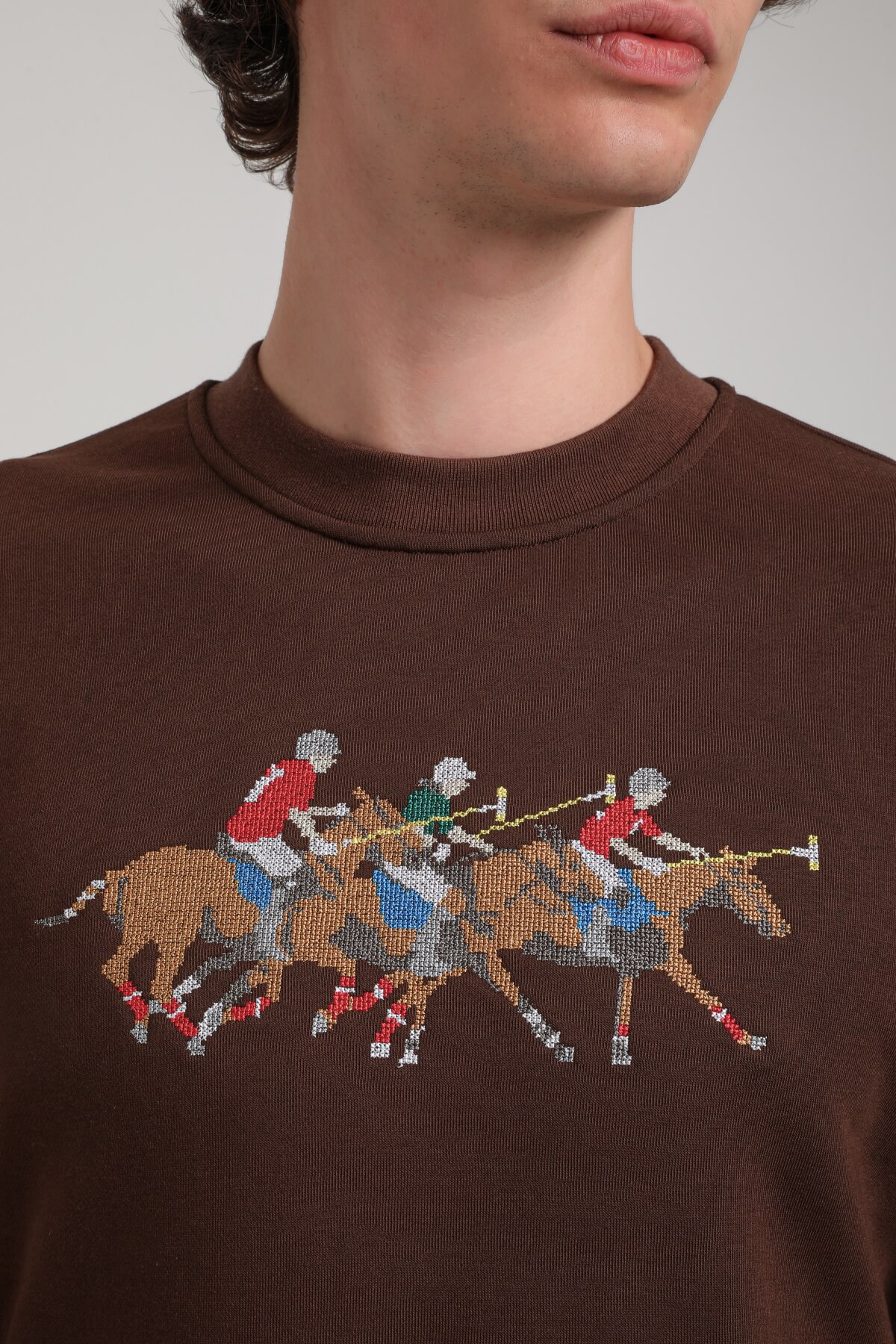 Bisiklet Yaka Kahverengi Regular Custom Sweatshirt 23FWM60144