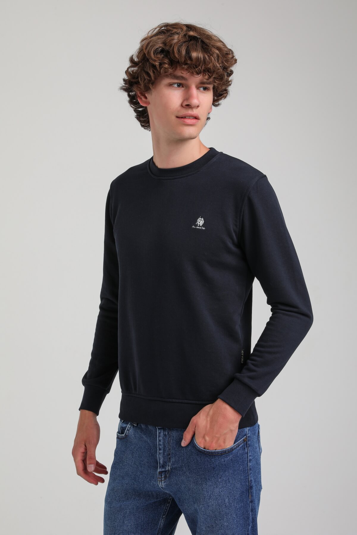 Bisiklet Yaka Lacivert Regular Custom Sweatshirt 23FWM60141