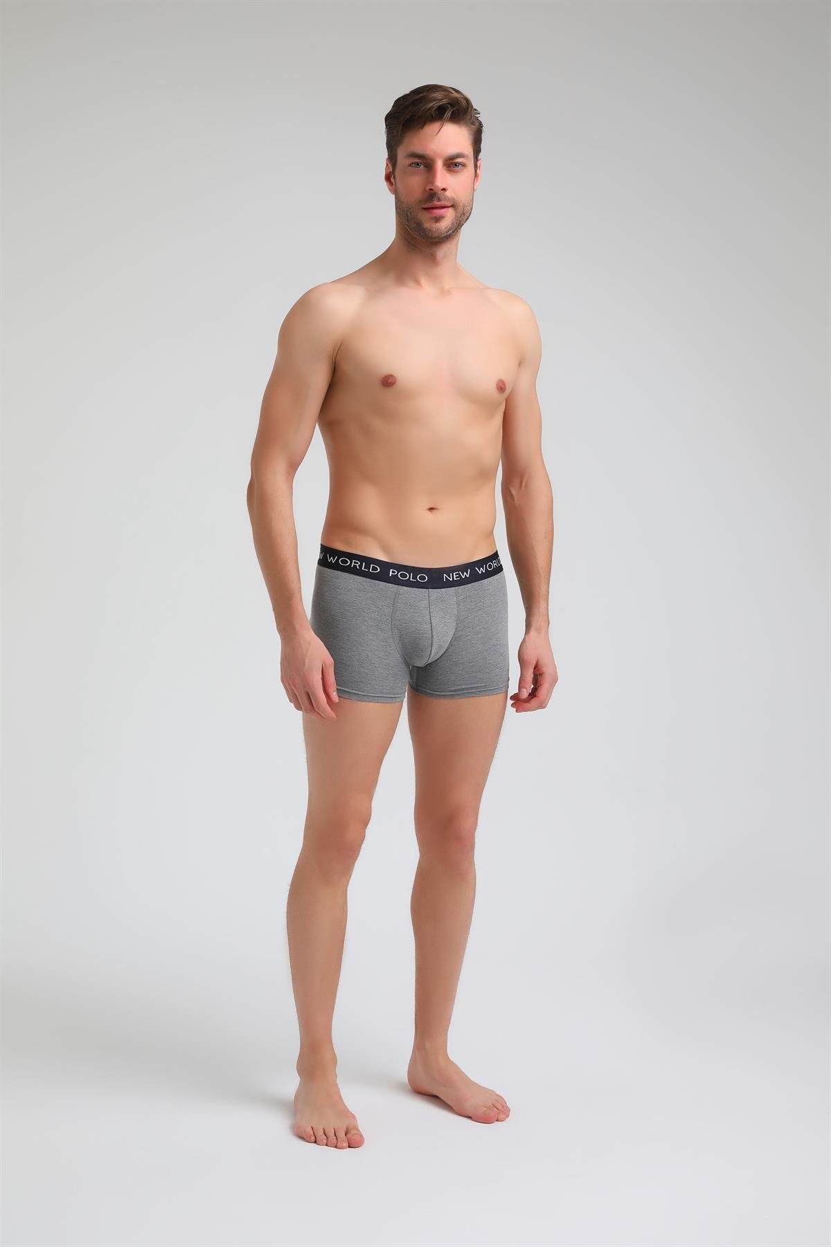 New World Polo Basic 3'lü Boxer Lacivert-Beyaz-Gri Slim Fit Boxer Set 23SSM1001