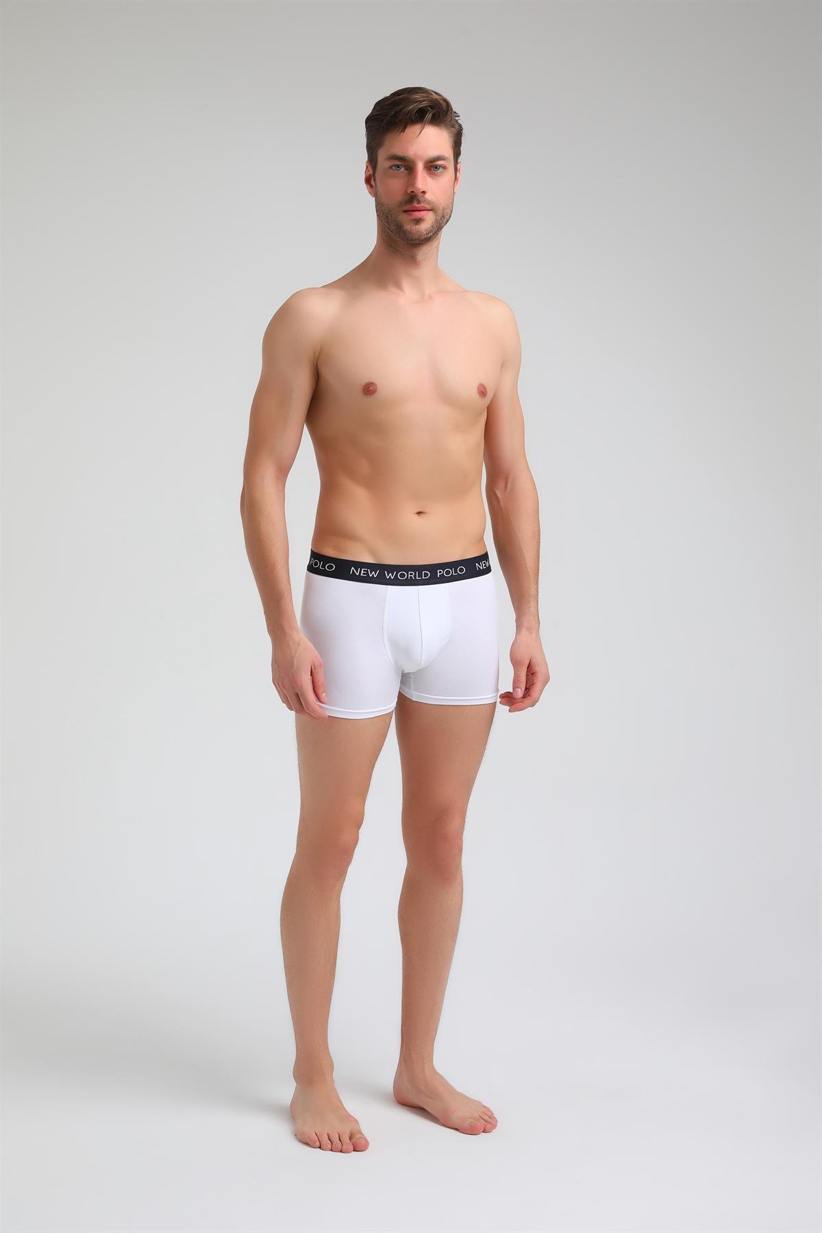 New World Polo Basic 3'lü Boxer Lacivert-Beyaz-Gri Slim Fit Boxer Set 23SSM1001