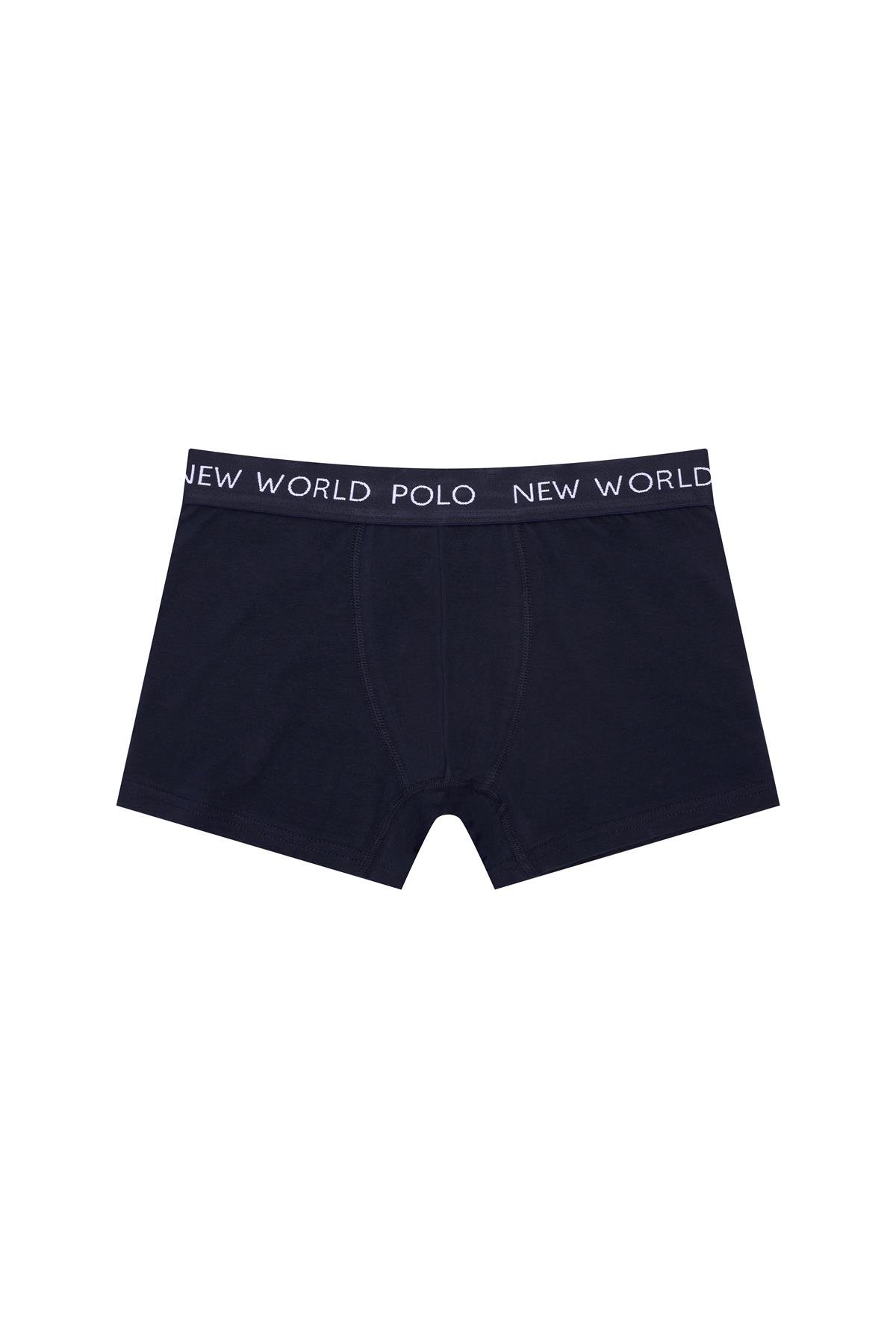 New World Polo Basic 3'lü Boxer Lacivert-Beyaz-Gri Slim Fit Boxer Set 23SSM1001