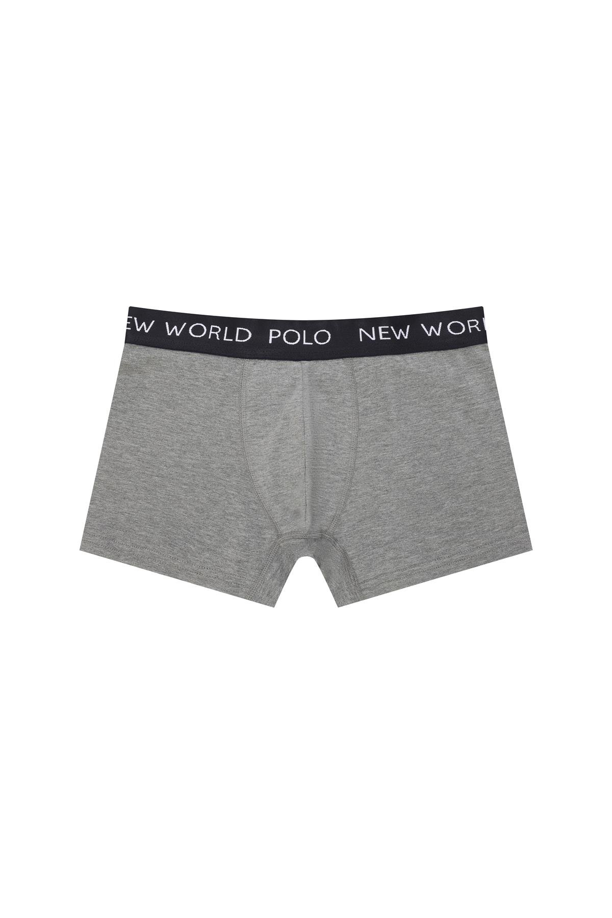 New World Polo Basic 3'lü Boxer Lacivert-Beyaz-Gri Slim Fit Boxer Set 23SSM1001
