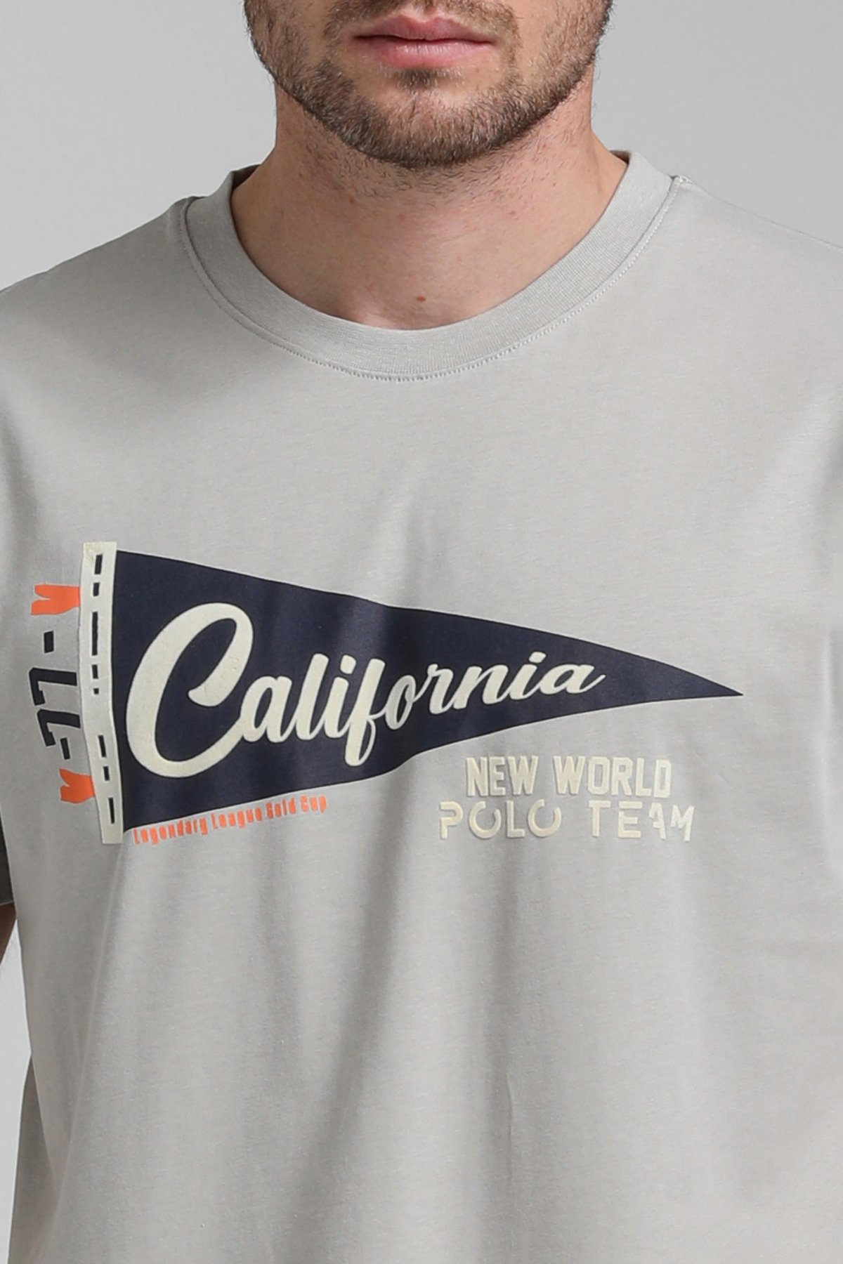 New World Polo Bisiklet Yaka Gri Boyalı Regular Custom Tişört 23SSM20300