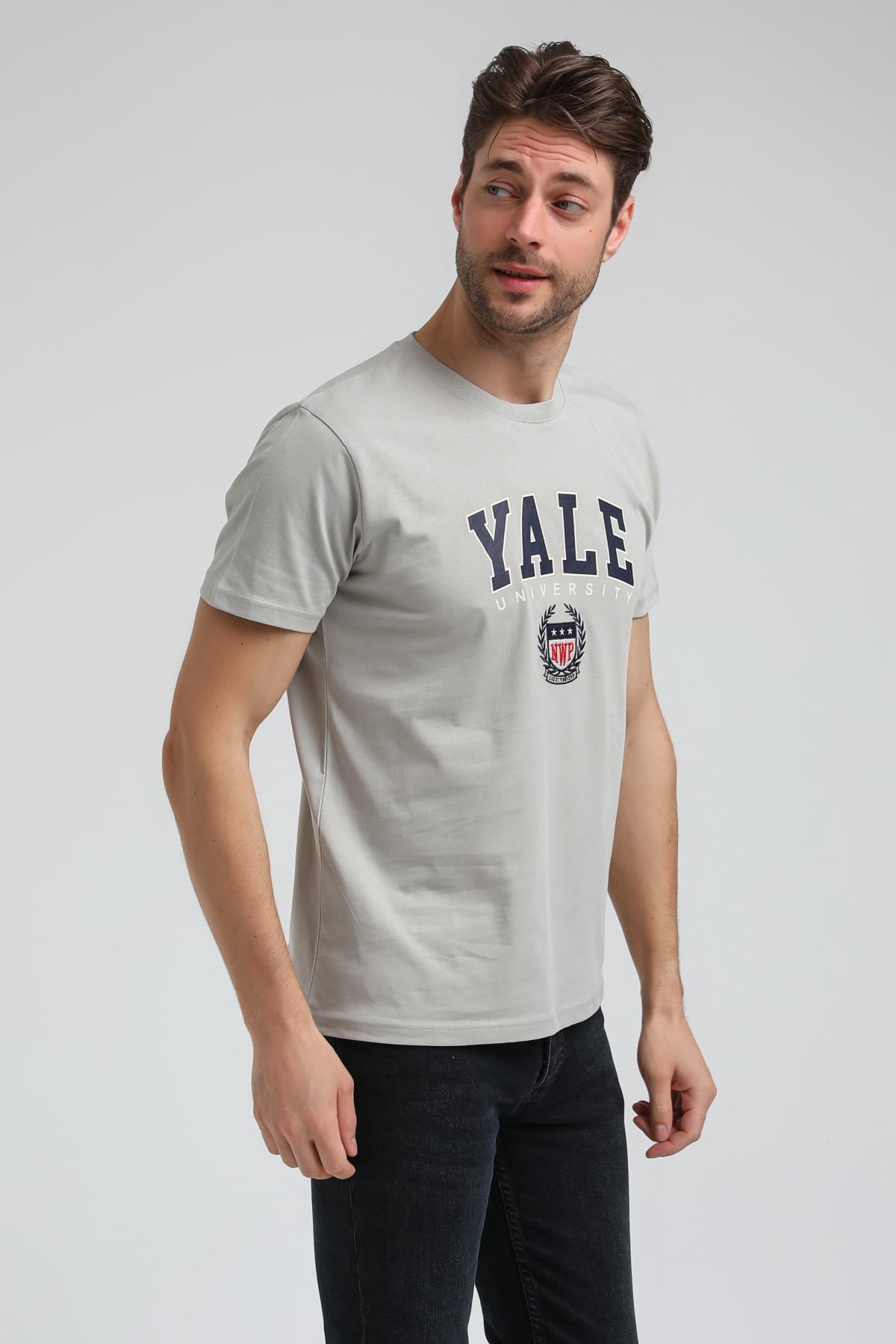 New World Polo Bisiklet Yaka Gri Boyalı Slim Fit Tişört 23SSM20308