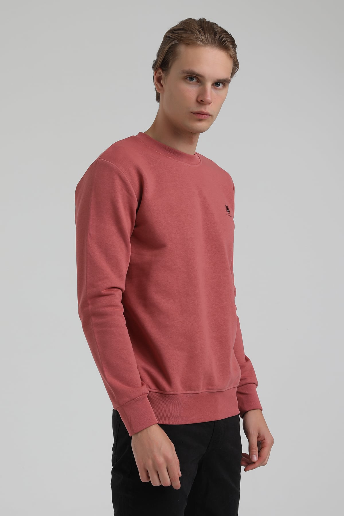 New World Polo Bisiklet Yaka Kestane Regular Sweatshirt 22FWM60115