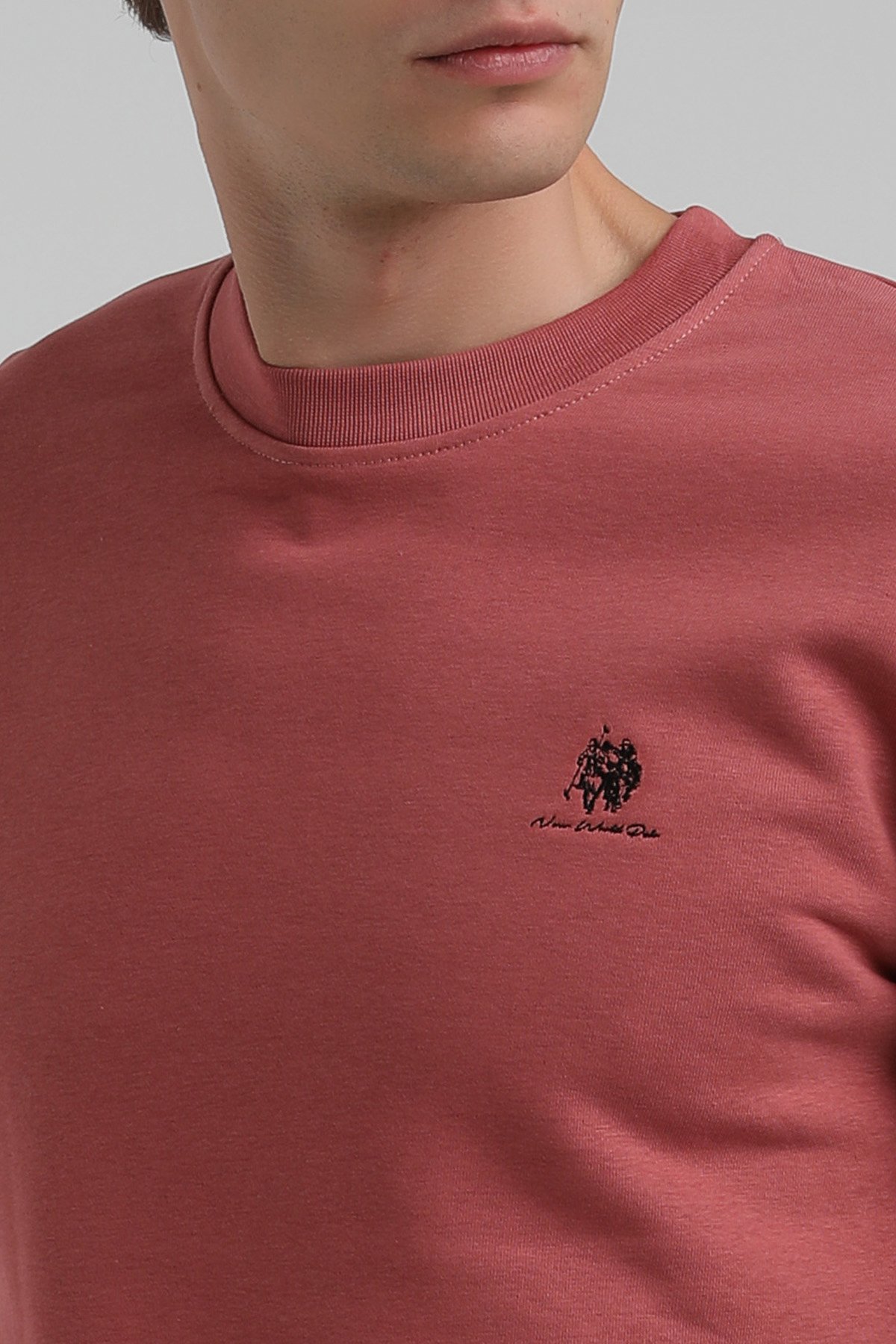 New World Polo Bisiklet Yaka Kestane Regular Sweatshirt 22FWM60115